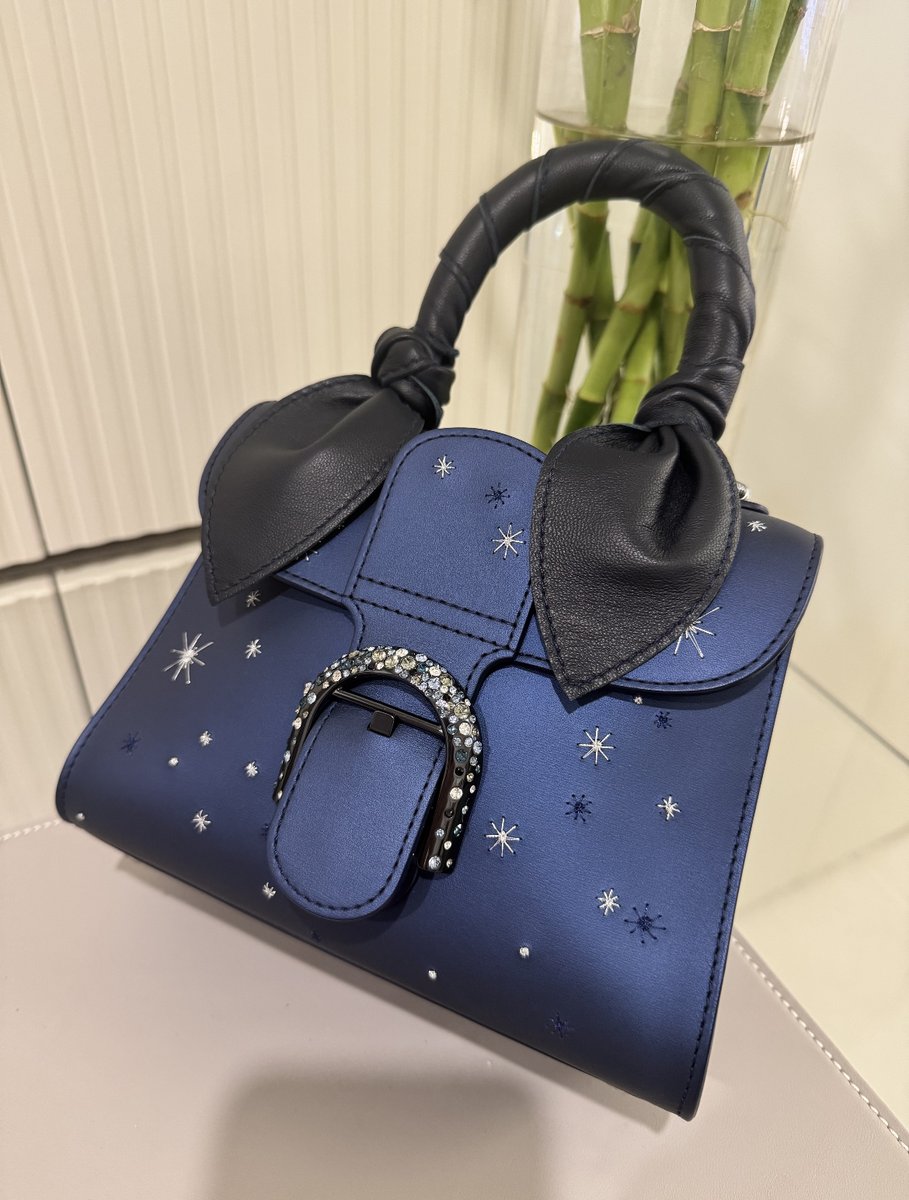 AngelTearsIT's tweet image. This navy bag with star embroidery and a glittering buckle is like carrying a piece of the night sky. ✨👜