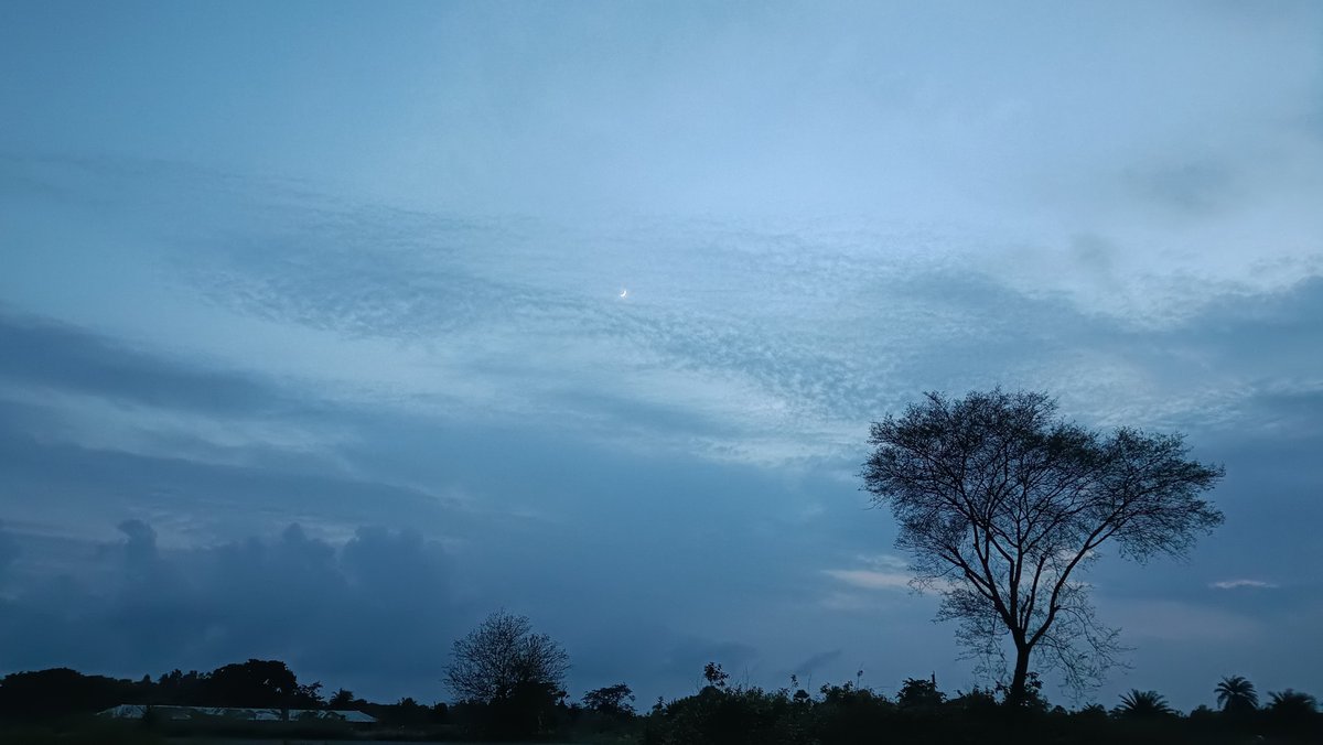 codeAntu's tweet image. 