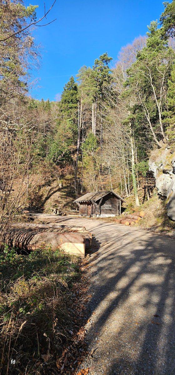 ...🫶
#NaturePhotography