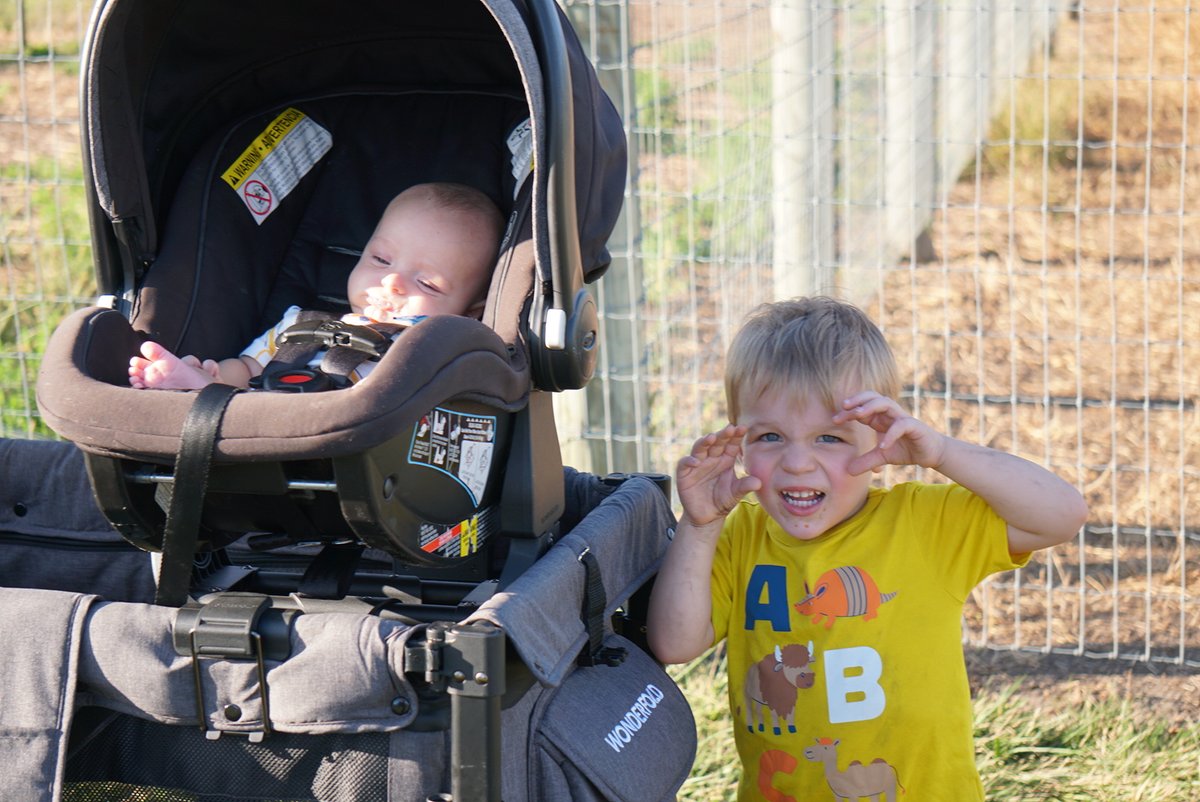 Spending time together builds such great family bonds. We're thankful for our family engagement opportunities, like this recent Healthy Start outing to Rader Family Farms! 🍂 

thebabyfold.org/services/early…