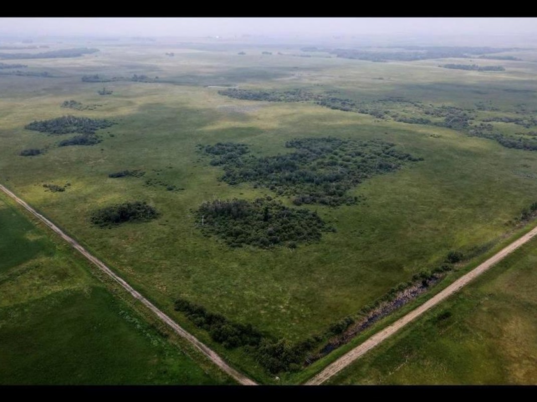 *VALUABLE, FENCED* RANCH FOR SALE!
farmmarketer.com/listing/fm/206…

Farm Type: Ranch/pasture
Acreage (Total): 160 
Province: Manitoba
Agent: Brandie Yurkiw

#Findyourdreamproperty #farmmarketer #bareland #developmentland #farmland #canadarealestate