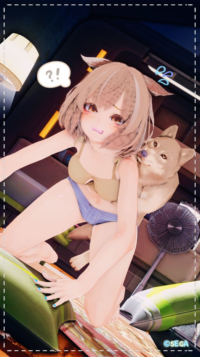 今日のわんこ🐶