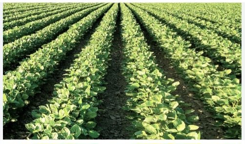 عبدالرحمن الصقير tweet media