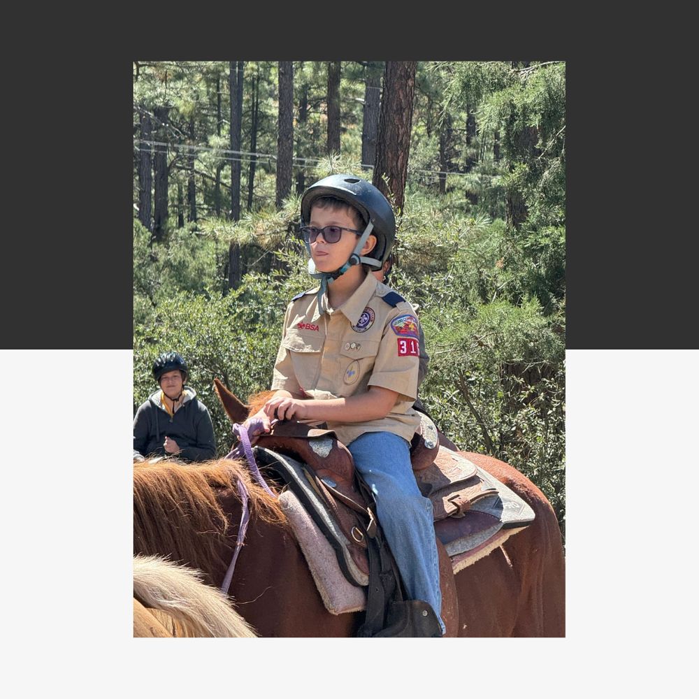 CircleMRidingS's tweet photo. Feel the wind, hear the hoofbeats, and experience the connection. Our horse riding sessions are designed to energize your body and soul. Come ride with us and discover your new favorite hobby! #HorseRiding
https://t.co/jtx4icBYYj https://t.co/CrJS0w1xHk