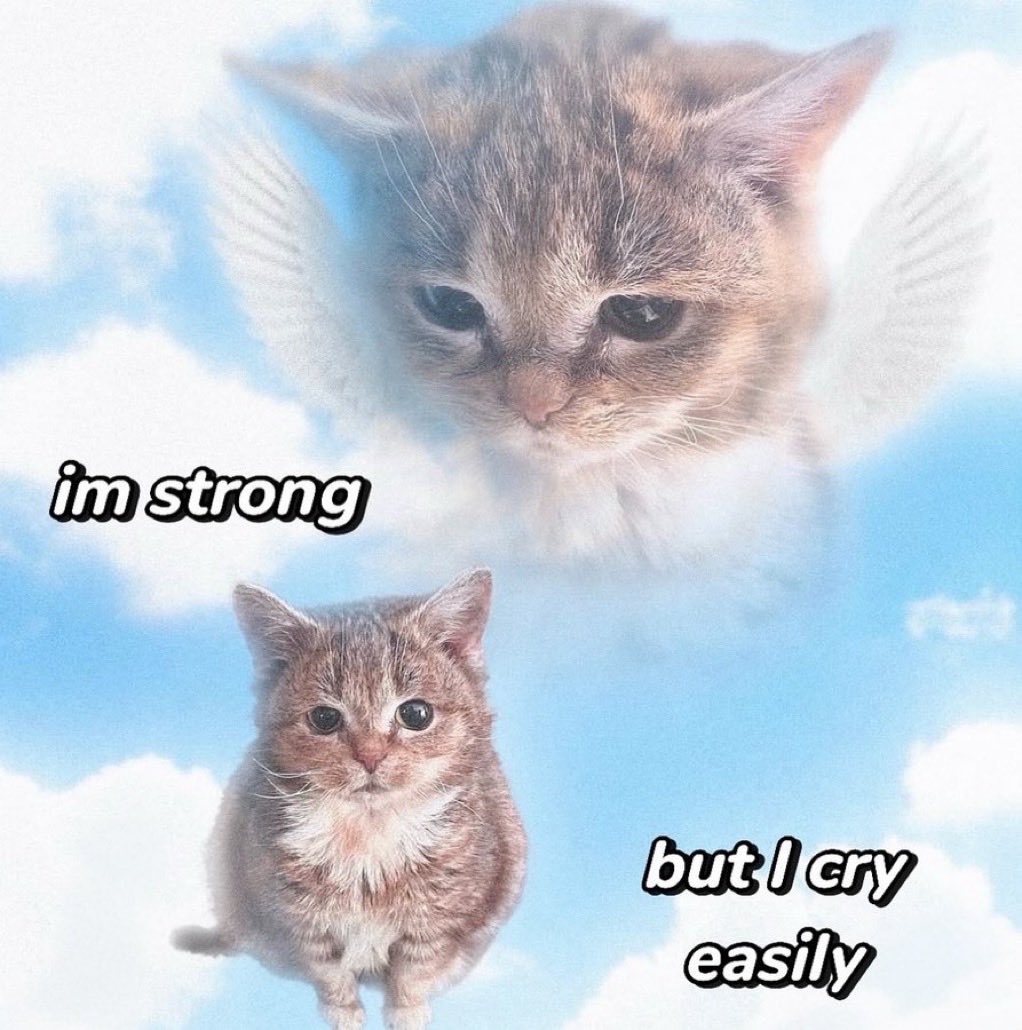 whotfisjovana's tweet image. 