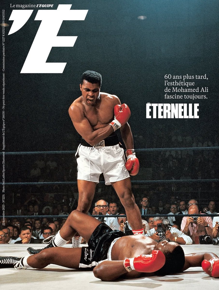 🅢🅓🅢🥊 tweet media