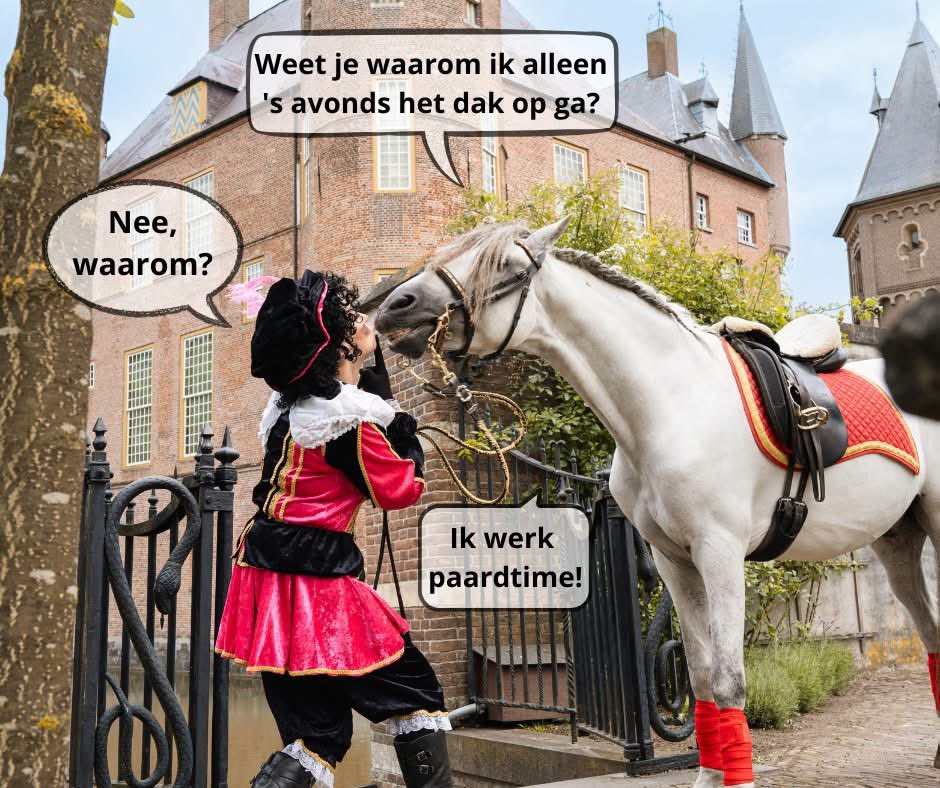 OZOSNEL.NL tweet media