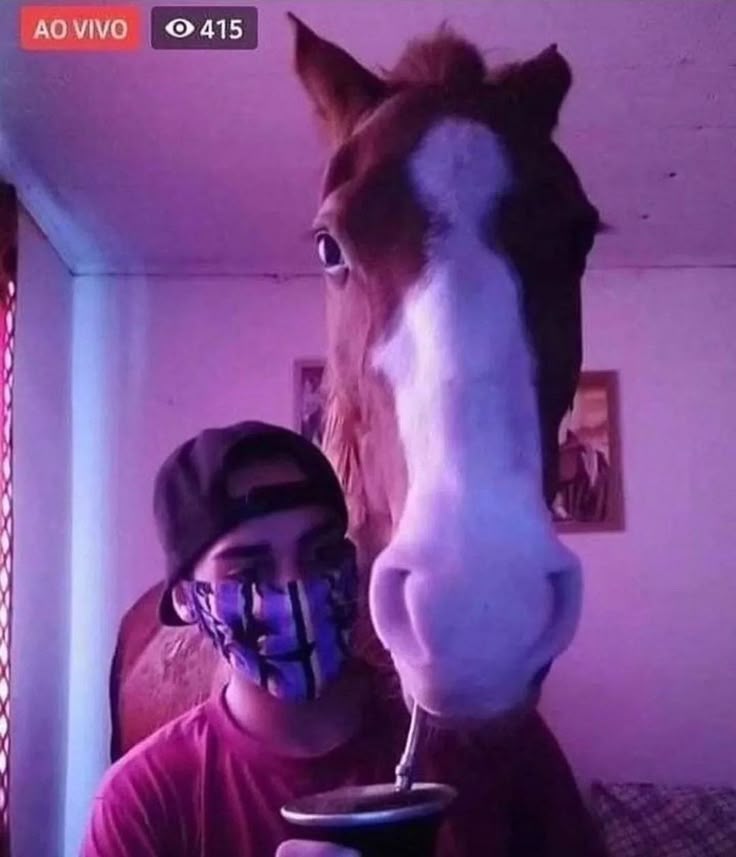 horse (archived) (@rllyhungryhorse) on Twitter photo 