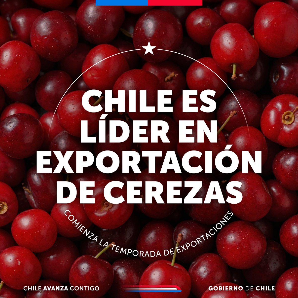GobiernodeChile's tweet image. Desde el Puerto de San Antonio damos inicio oficial a la temporada de exportación de cerezas 2025-2026, ¡uno de los productos estrella de nuestra agricultura!

✅En la temporada pasada se alcanzaron 625 mil toneladas exportadas.

✅Tenemos 59 destinos globales y China es el…