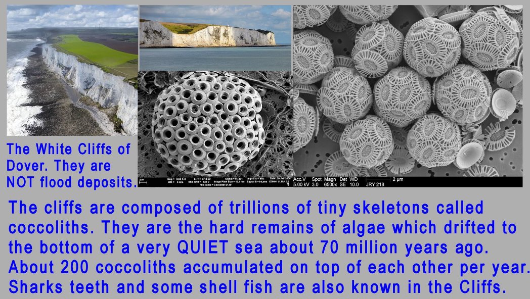 fabvillac100's tweet image. Totally false. 
Several materials help to date: cristall Zircon with both Uranium 238 and 235 show millions of years among sediments 
Never ever a primate with a dinosaur in the same epoch.
Liers.