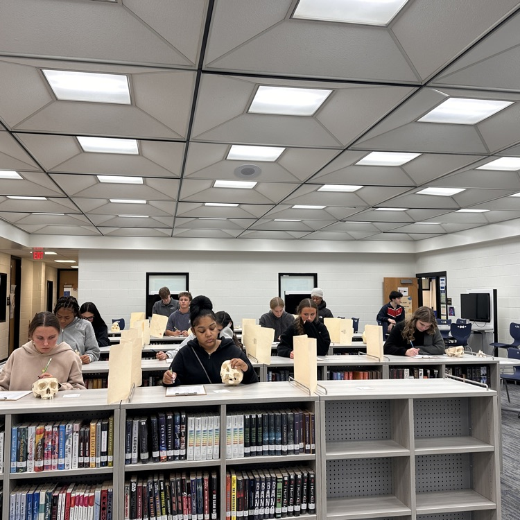 Anatomy and physiology classes are taking a skull practical test today.