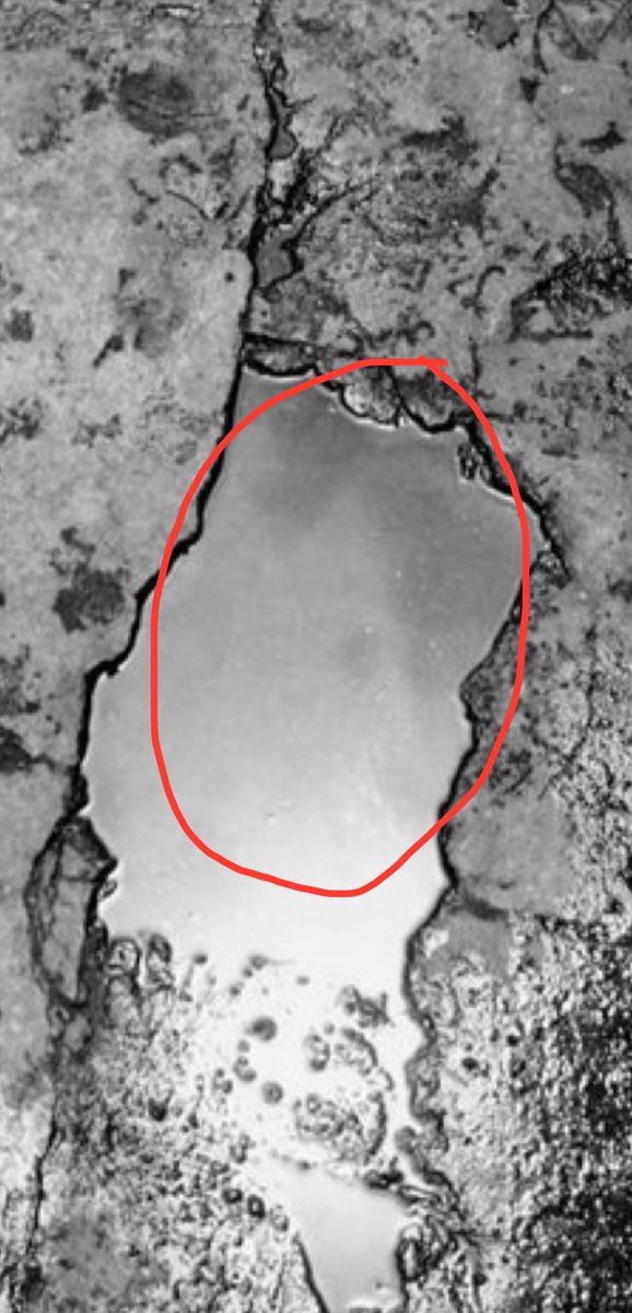 Code_Awesome28's tweet image. Is it just me or am I seeing half of Cavill’s head and Ben’s side profile of his head?!
#RestoreTheSnyderVerse