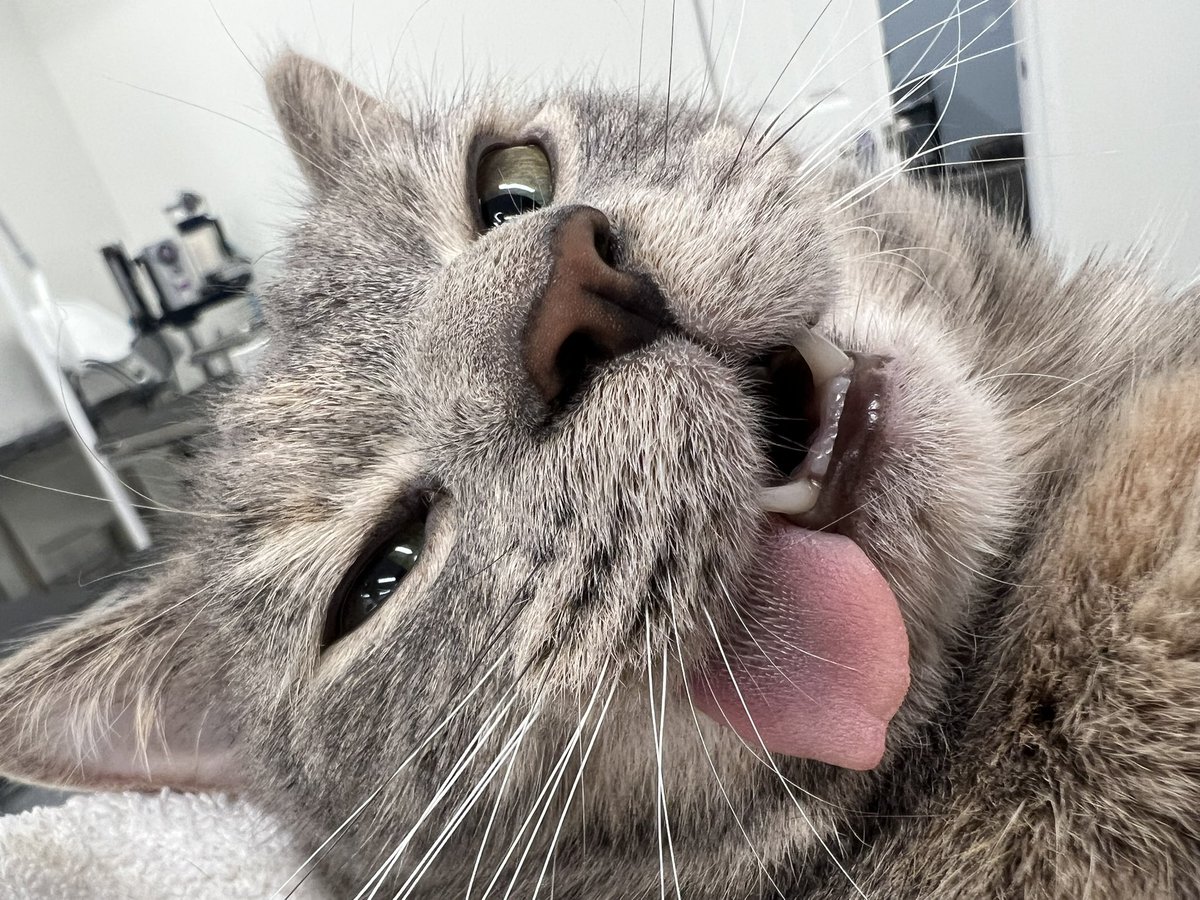 Myna is looking for singles in the area