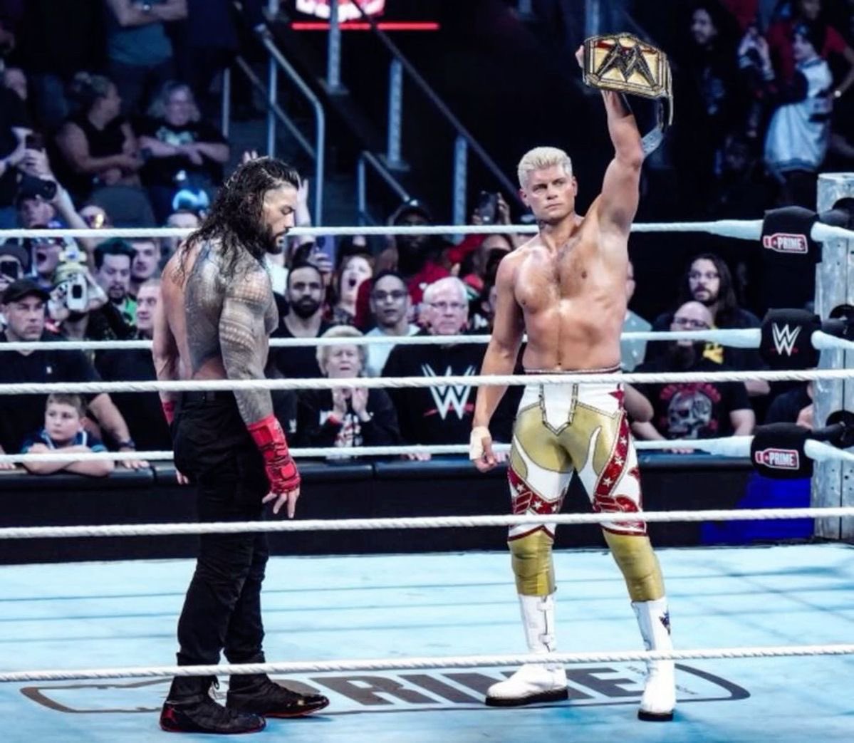 thatdudealex234's tweet image. LET HIM KNOW WHO IS KING, MR RHODES 😤👑