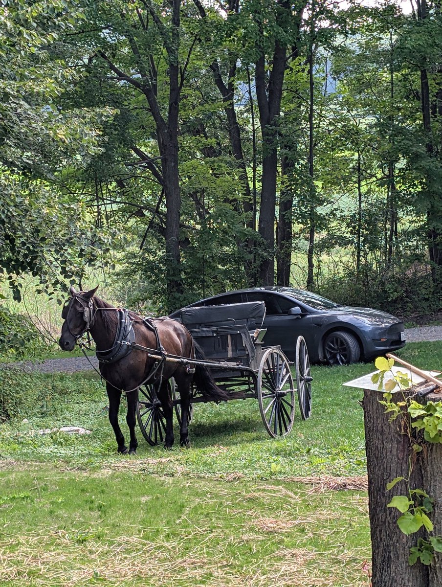 ShortCircuit122's tweet image. Two self-driving vehicles in one picture.