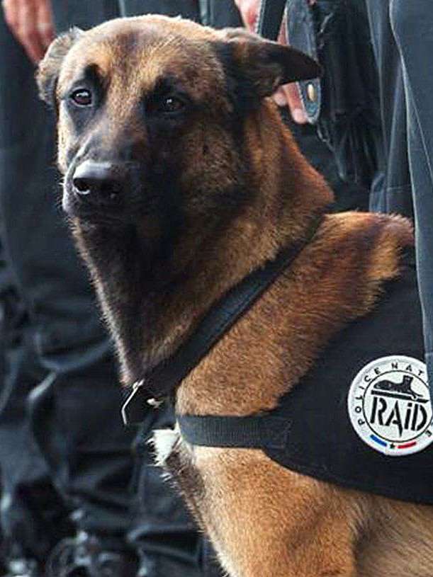 Florence GUTKNECHT tweet media