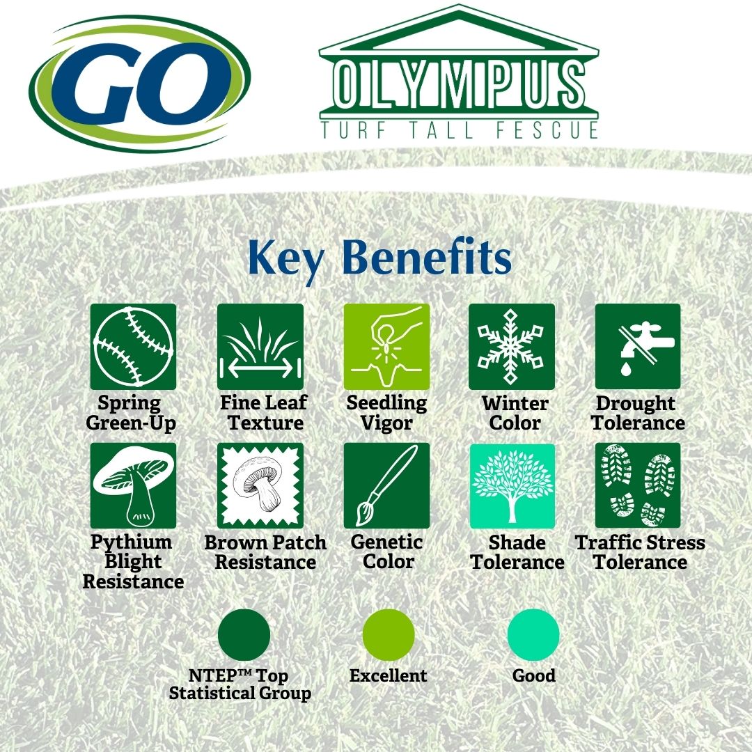 GOSEEDCO's tweet image. Even Zeus would be envious of this Turf Variety Highlight! Olympus Tall Fescue is a top NTEP™ performer across several key turf benefits. #turf #sod #lawn #sportsfield #NTEP #tallfescue