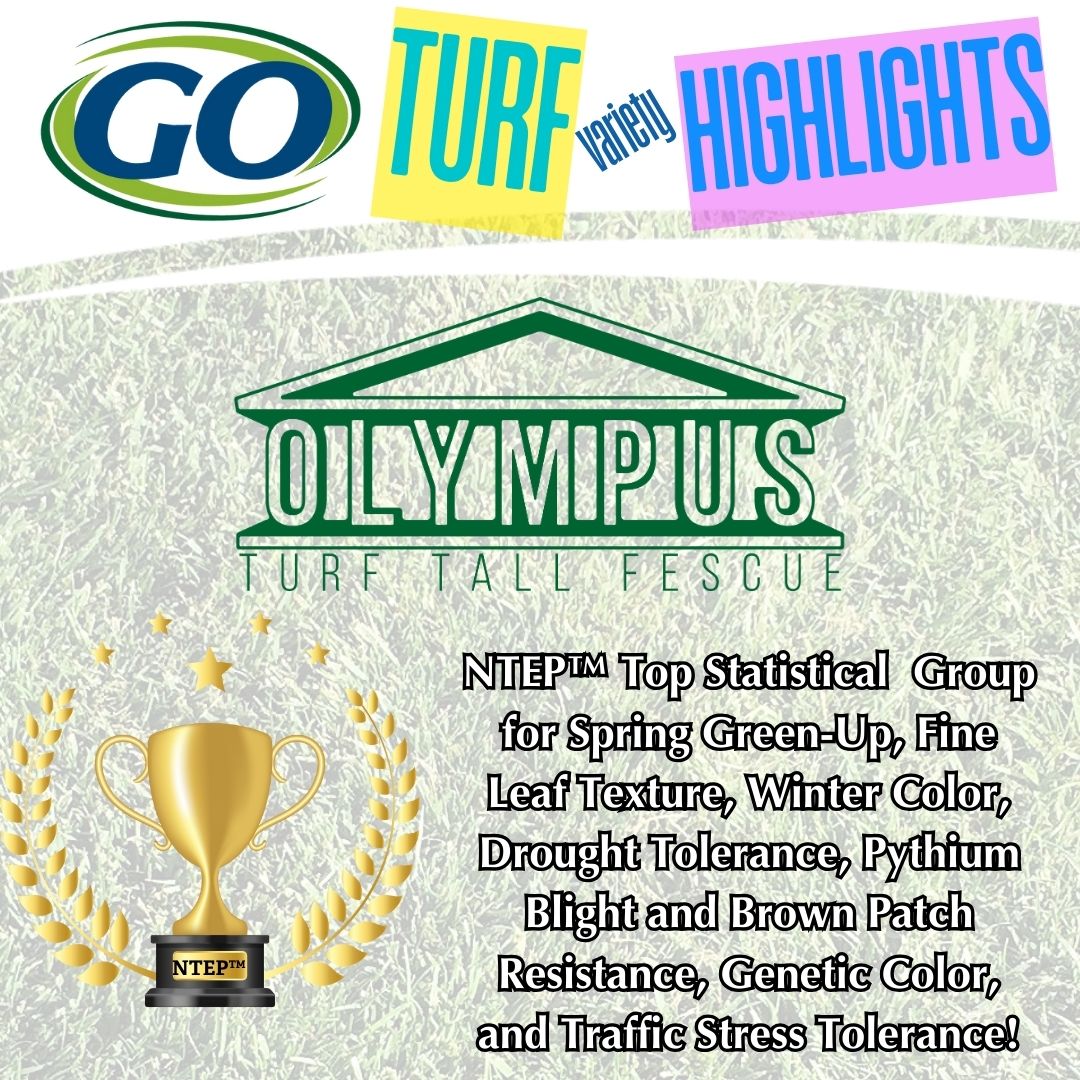 GOSEEDCO's tweet image. Even Zeus would be envious of this Turf Variety Highlight! Olympus Tall Fescue is a top NTEP™ performer across several key turf benefits. #turf #sod #lawn #sportsfield #NTEP #tallfescue