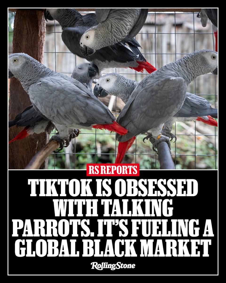 Rachael Bale tweet media