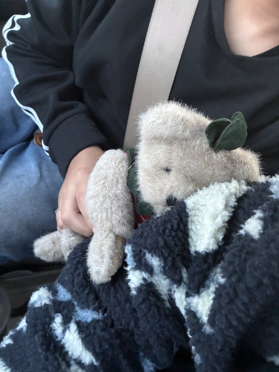 srgntbear's tweet image. life outside of twitter &amp;lt;3