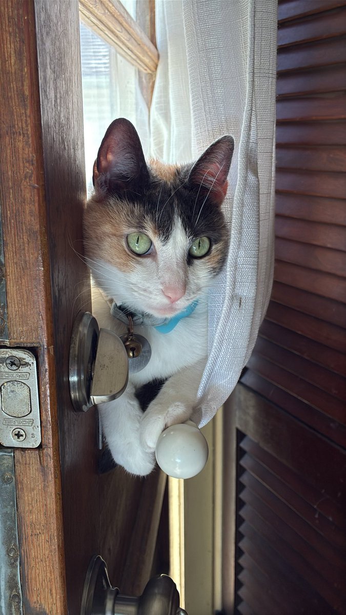 srgntbear's tweet image. life outside of twitter &amp;lt;3