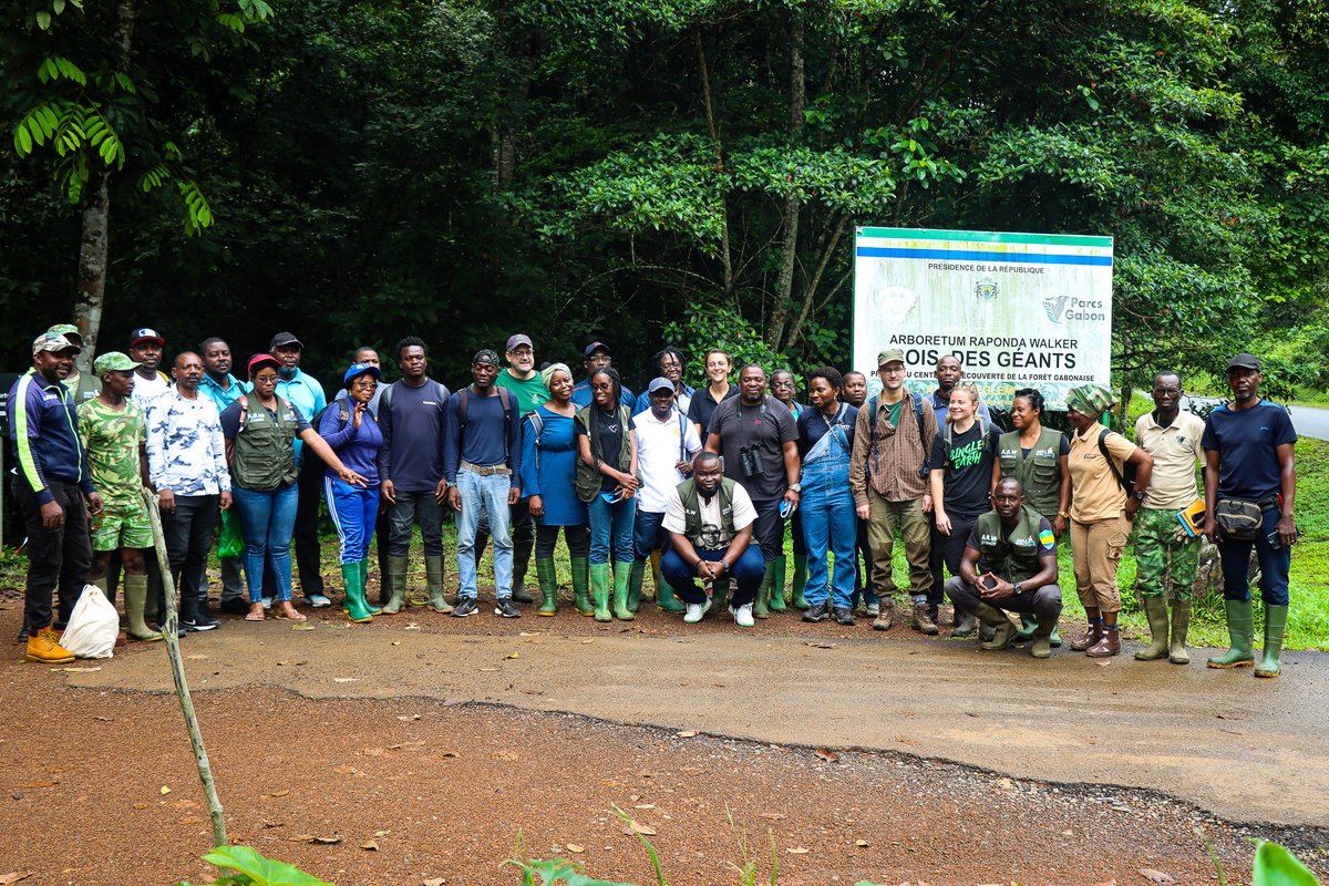 Après la théorie, place à la pratique :  la formation dispensée par <a href="/bgci/">Botanic Gardens Conservation International</a>  dans le cadre du projet #CAFI3 - Verdissement urbain et Jardin botanique se poursuit à l’Arboretum Raponda Walker :

Au programme de cette journée :

✔️ Identification des espèces
✔️ Collecte de boutures