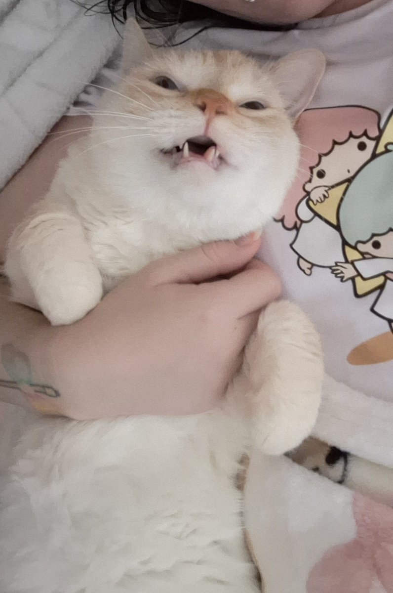 babydogfanclub's tweet image. my plushie :)