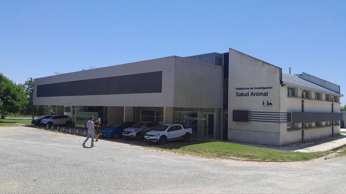 Estamos participando del Workshop Pre-Congreso del Dr. Brad Hine de <a href="/angusaustralia/">Angus Australia</a> <a href="/CSIRO/">CSIRO</a> titulado "Metodologías para Evaluar la Competencia Inmune en Animales de Producción" <a href="/INIA_UY/">INIA URUGUAY</a> La Estanzuela.