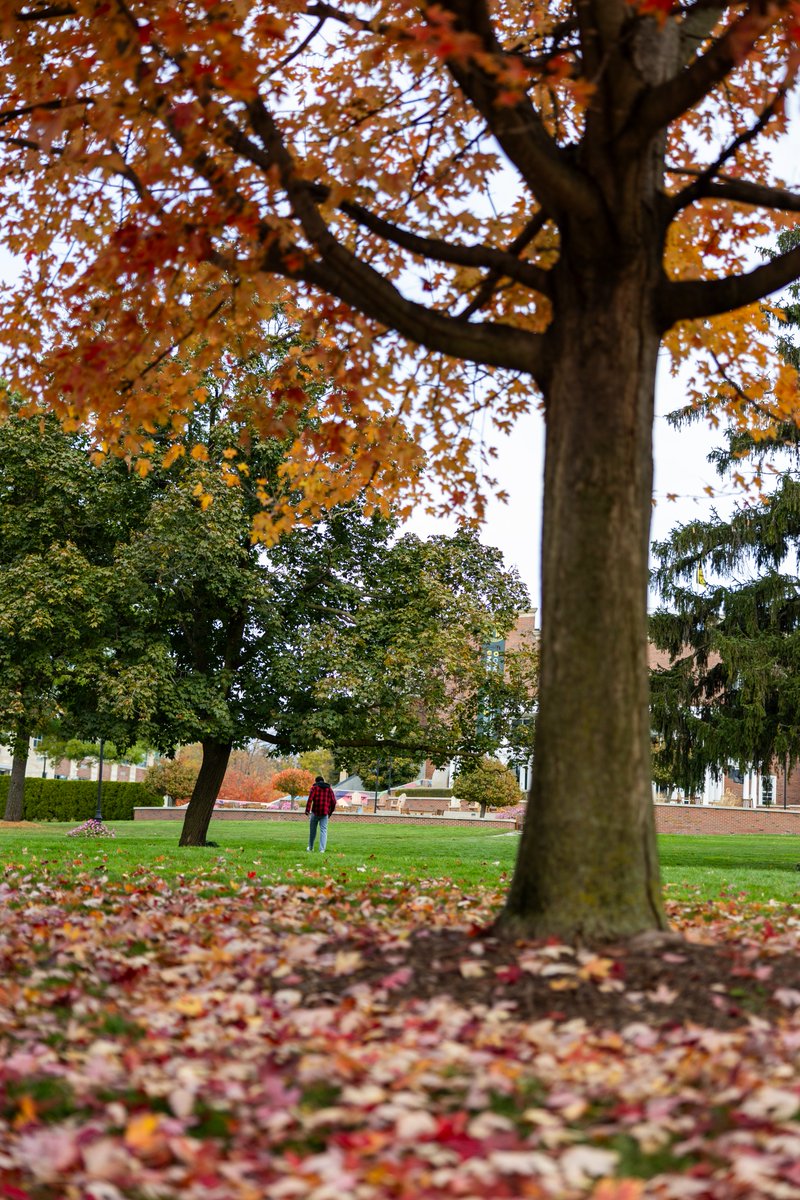 AdrianCollege's tweet photo. Wishing everyone a fun, safe, and relaxing Thanksgiving break! Enjoy the time off and soak up those moments with family and friends. 🦃🍁

#AdrianCollege #GDTBAB #BulldogProud #HigherEducation #Thanksgivingbreak https://t.co/ZQjR4vwr59