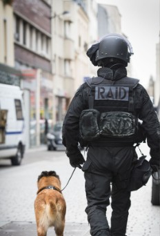 Florence GUTKNECHT tweet media