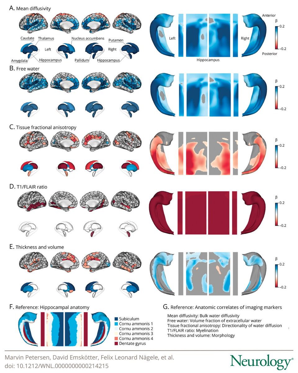 Mapping the Association of Cerebral Small Vessel Disease, Gray Matter Integrity, and Cognitive Function: hubs.la/Q03ThsQK0