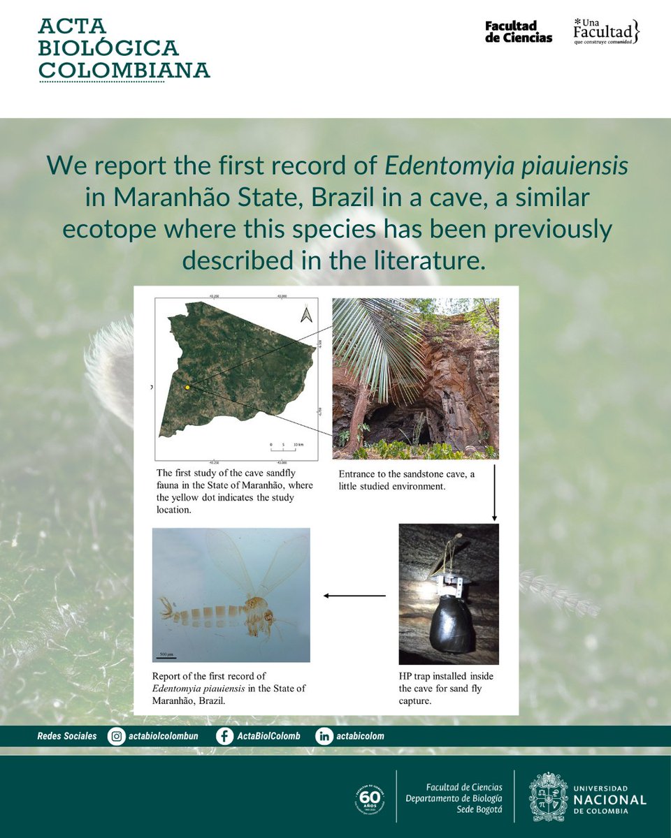 Revista Acta Biológica Colombiana UN tweet media