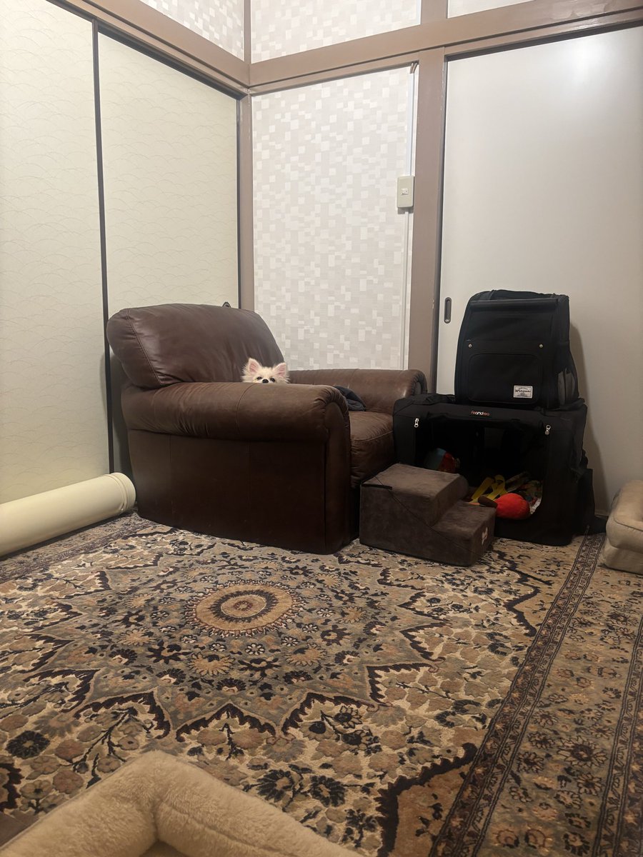 one_ruisui's tweet image. みてる…