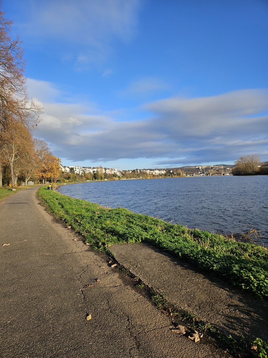 EmiMimi777's tweet image. 5km #laufende bei schönster #Spätherbst #Sonne.