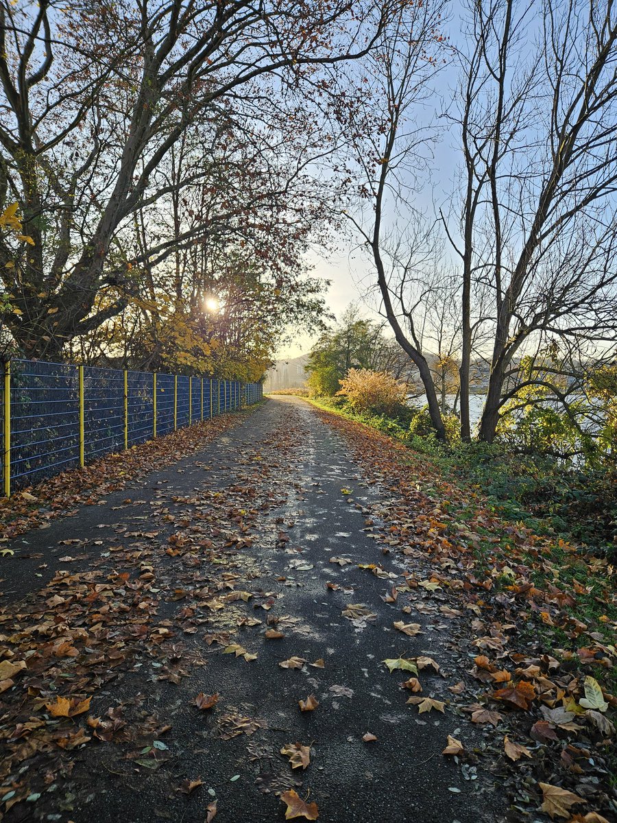 EmiMimi777's tweet image. 5km #laufende bei schönster #Spätherbst #Sonne.