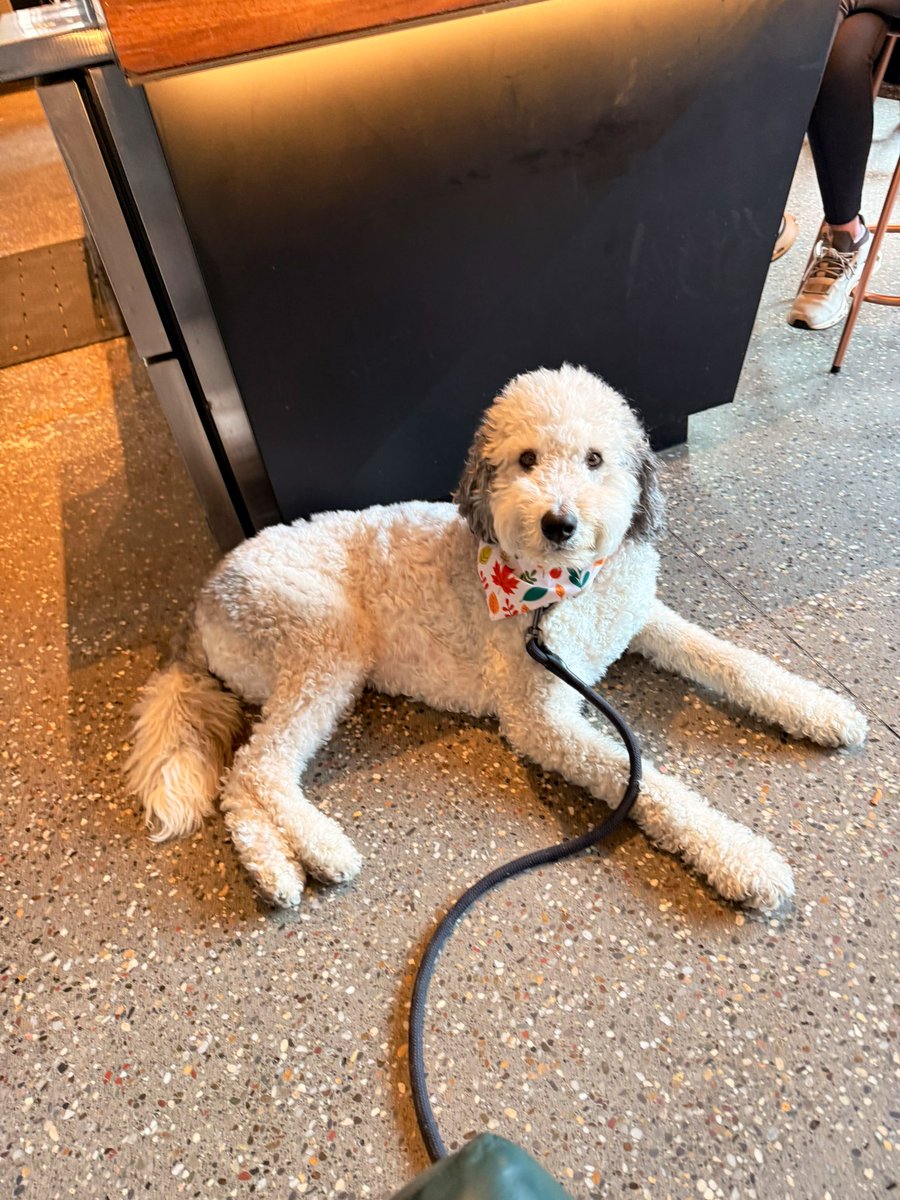 Heshie Brody tweet media