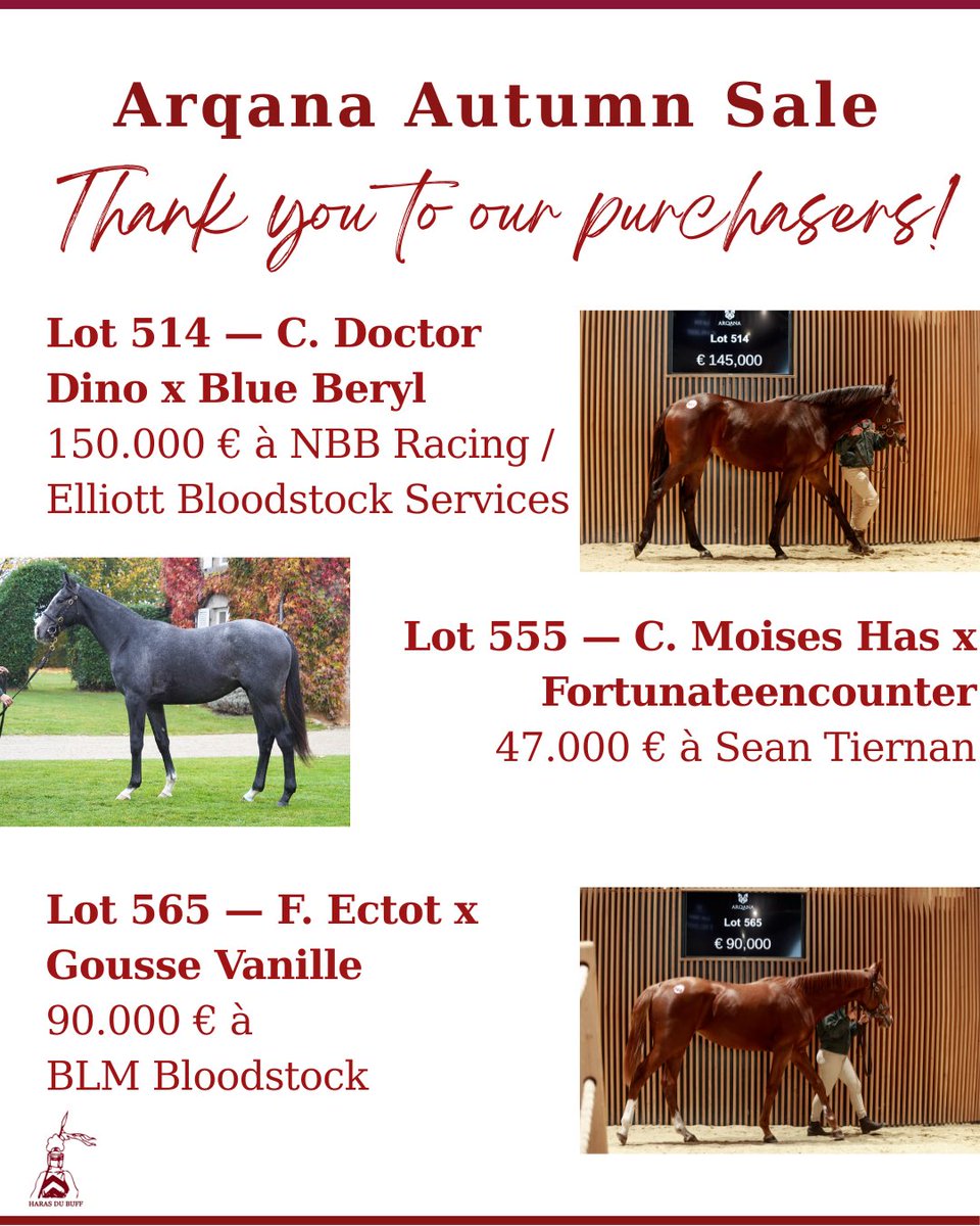Thank you to all our purchasers at Arqana today! We wish you the very best of luck ☘️🇫🇷