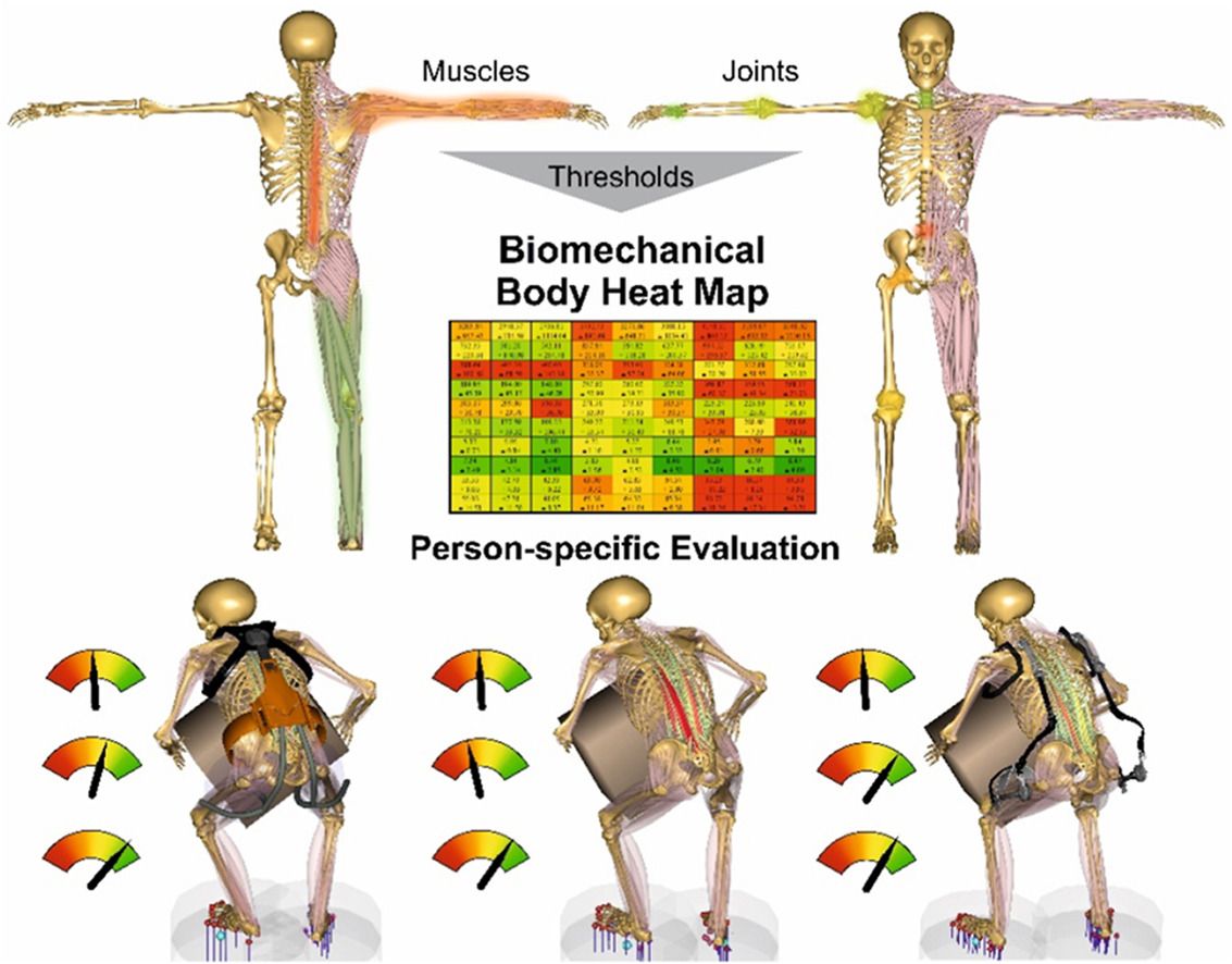TechAnyBody's tweet image. 𝐏𝐞𝐫𝐬𝐨𝐧-𝐬𝐩𝐞𝐜𝐢𝐟𝐢𝐜 𝐞𝐯𝐚𝐥𝐮𝐚𝐭𝐢𝐨𝐧 𝐦𝐞𝐭𝐡𝐨𝐝 𝐟𝐨𝐫 𝐨𝐜𝐜𝐮𝐩𝐚𝐭𝐢𝐨𝐧𝐚𝐥 𝐞𝐱𝐨𝐬𝐤𝐞𝐥𝐞𝐭𝐨𝐧𝐬 – 𝐁𝐢𝐨𝐦𝐞𝐜𝐡𝐚𝐧𝐢𝐜𝐚𝐥 𝐛𝐨𝐝𝐲 𝐡𝐞𝐚𝐭 𝐦𝐚𝐩

🔗doi.org/10.1016/j.aper…