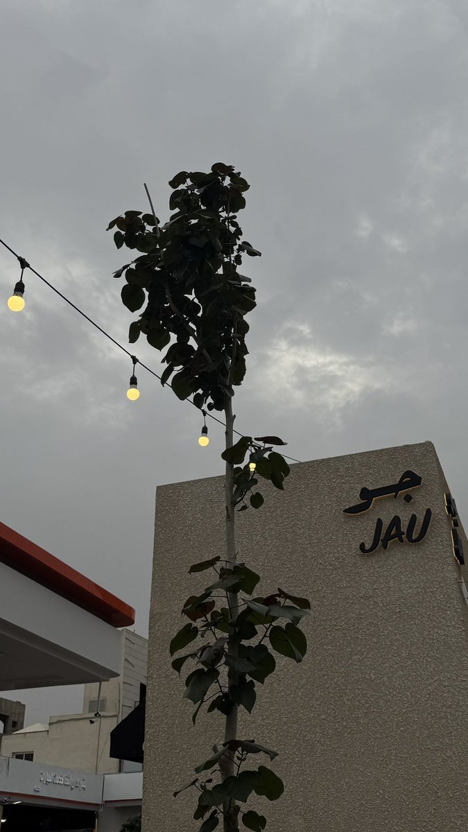 المديرة👩🏻‍💼 (@eusii7) on Twitter photo 