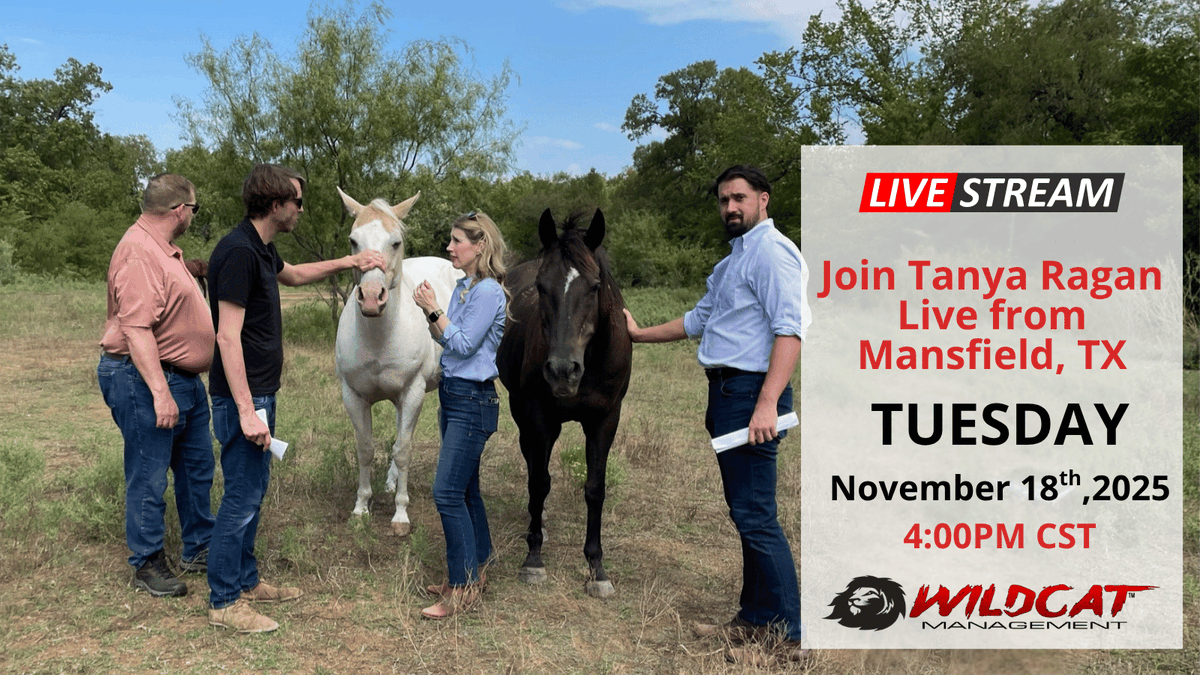 LIVE on X today at 4 PM CST from Castle Ranch in Mansfield, TX.  We’re back on the 45-acre site, reviewing plans, utilities, drainage, green space, retail, residential layouts, boots on the ground, no filters.
We'll check in on Bud, our resident rancher + Texas legend. Join us.