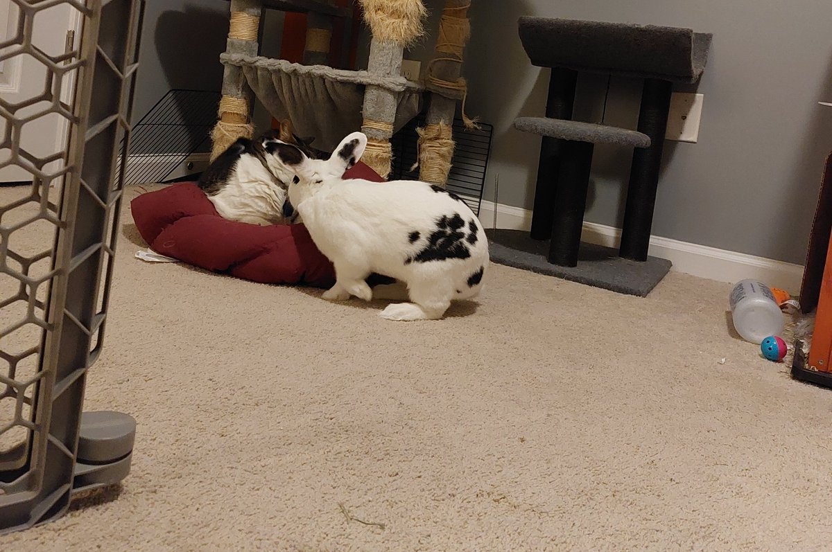 Oaghe,,, bromther,,,