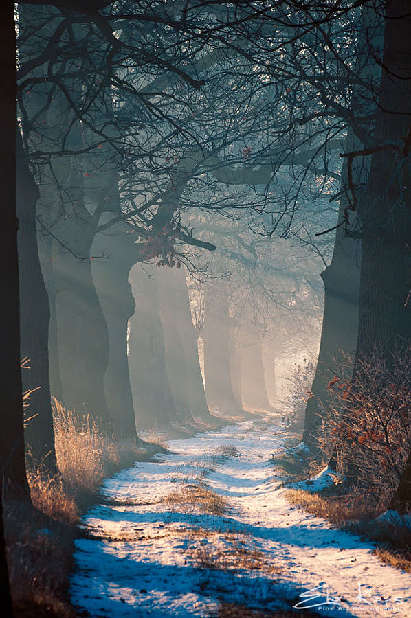 plainrunner2's tweet image. That God exists is logically obvious. That we are in trouble, is morally plain. That we are loved, and that we are sought despite all this is revelatory.