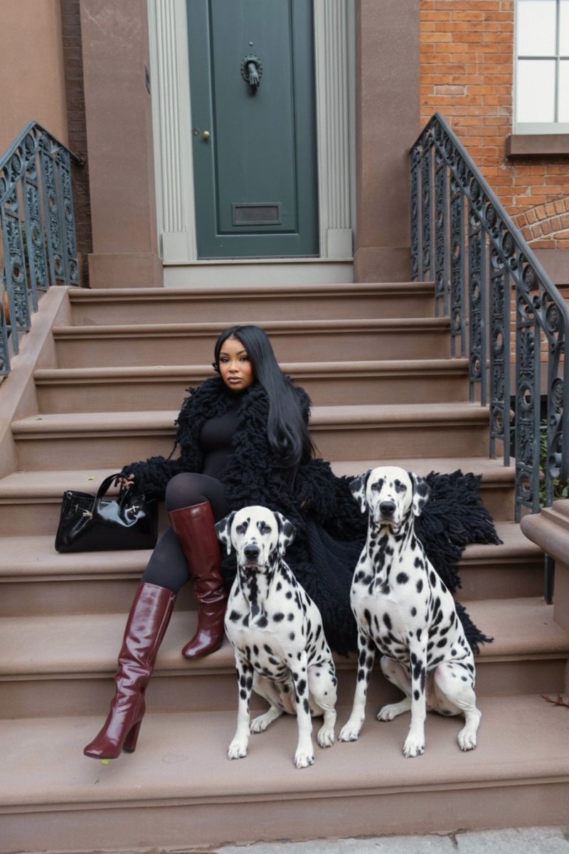 AaliyahJay's tweet image. Original photo vs AI animals photo. Which one you like better?