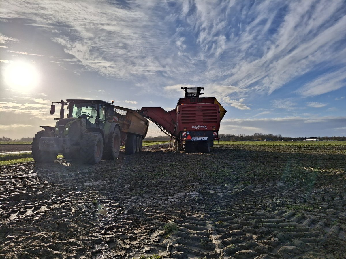 EricPelleboer's tweet photo. Vanmorgen.... Mooie lucht bij het rooien van ons laatste gewas.....
De #suikerbieten kleuren lichtrood aan de kop &amp; ruiken zoet! 👨‍🌾
#Xandor #Strube @AkkerTweet https://t.co/fzmzBoI3Ka