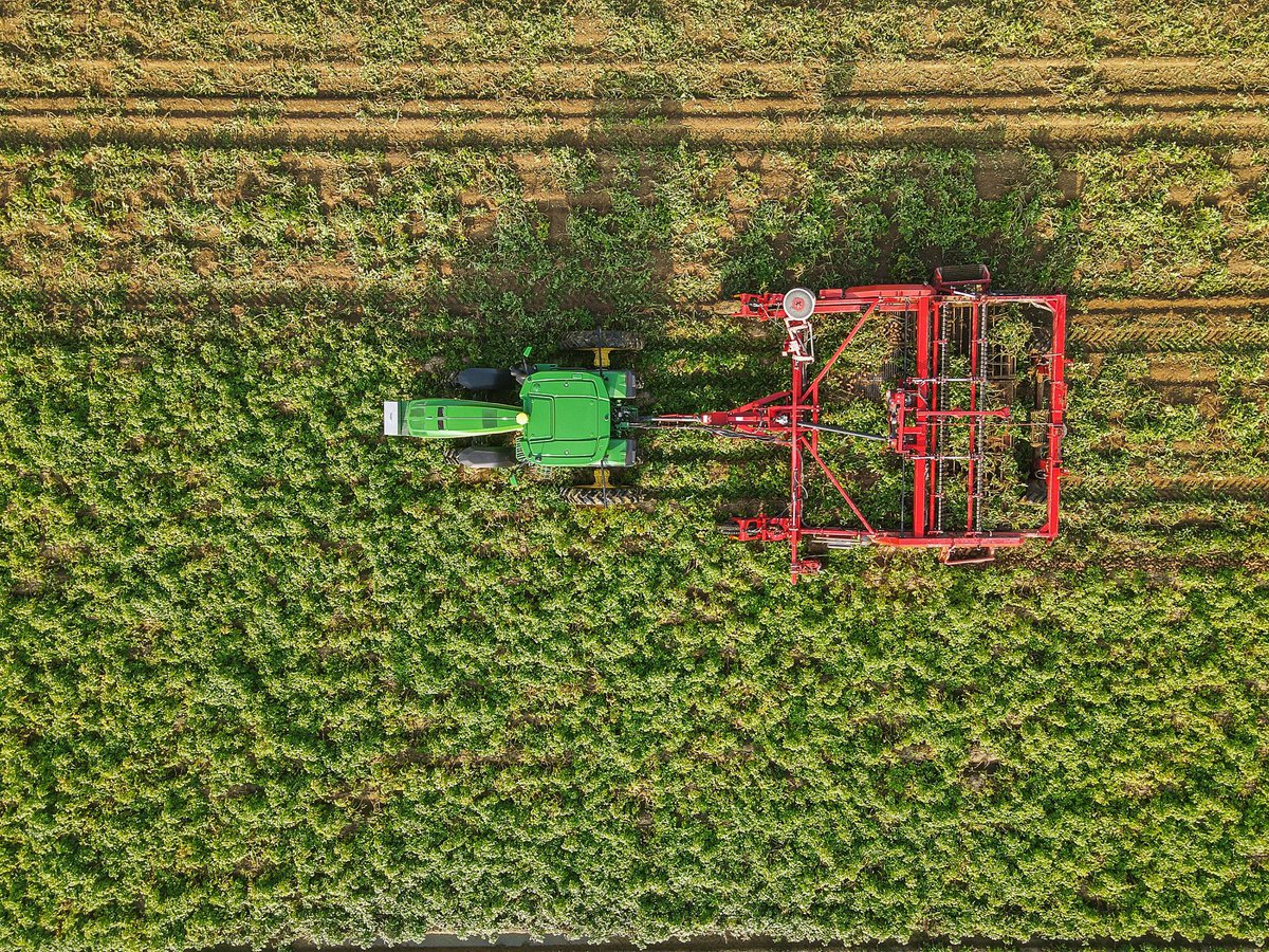 BlueOxMalthouse tweet media