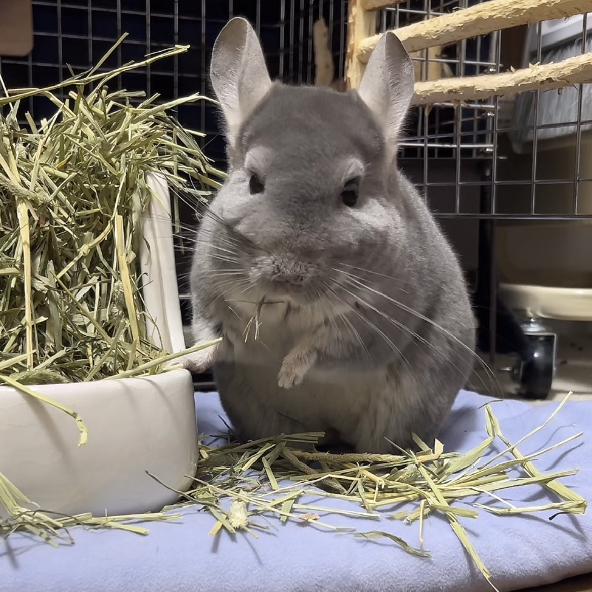 早めに寝たけど起きるには早すぎる