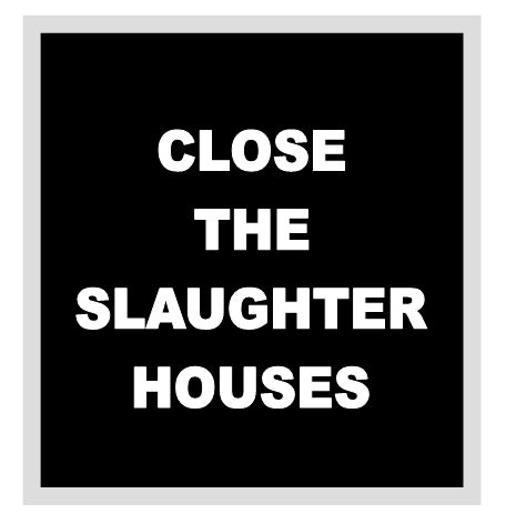 <a href="/animal_front/">support the animal liberation front</a> <a href="/SusanGreenExo/">SUSAN GREEN</a> <a href="/ttsnoopy/">❤ Marite ❤</a> <a href="/DebbieDahmer/">Debbie Dahmer</a> <a href="/standup4animals/">Voices Carry For Animals Podcast</a> <a href="/MesMitch/">StandForWolves🐺 Ⓥ</a> <a href="/RobRobbEdwards/">Robb Edwards 🌱</a> <a href="/Speedyrae/">Rae (cat whisperer)</a> <a href="/YvonneHooper20/">Yvonne Hooper</a> <a href="/Dpositivelady/">Darla K. Sensabaugh</a> <a href="/MaryamSTK/">Maryam</a> <a href="/veganrick/">R. Brassard Ⓥ</a> <a href="/MyBoxerLuvMac1/">Julie🌻🐾</a> <a href="/julie_dutto/">Julie Dutto</a> <a href="/AmUmbria/">am in umbria</a> <a href="/joelleannabella/">joelle.Vegan4life Ⓥ 𓃟</a> <a href="/MasterAuthor/">Joan Sample</a> <a href="/Sonntag1M/">Irene M Sonntag</a> <a href="/Mygreatredmare/">𝓜𝔂 𝓡𝓮𝓭 𝓢𝓶𝓸𝓰 🐎🇺🇲🇺🇦</a> <a href="/debhead06/">Debbie. 🌱🌎 ✝️</a> <a href="/Pandadollbaby/">Debra Ann Kasimakis</a> <a href="/were_first/">Animals were here first🐺</a> <a href="/GovRonDeSantis/">Ron DeSantis</a> .
 HeLLo 👋 <a href="/animal_front/">support the animal liberation front</a> 

LETs #ReMember To 
CaLL☎️ (202) 224-3121 

TeLL #Politicans  
 To  #SIGN ✍️ The  
  Anti-#HORSE🐴 Slaughter  #SafeACT" BiLL 
.