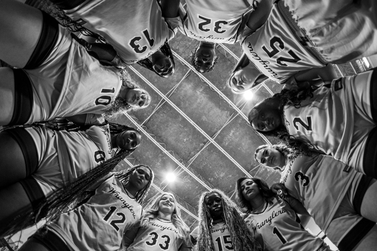 Cisco College WBB tweet media