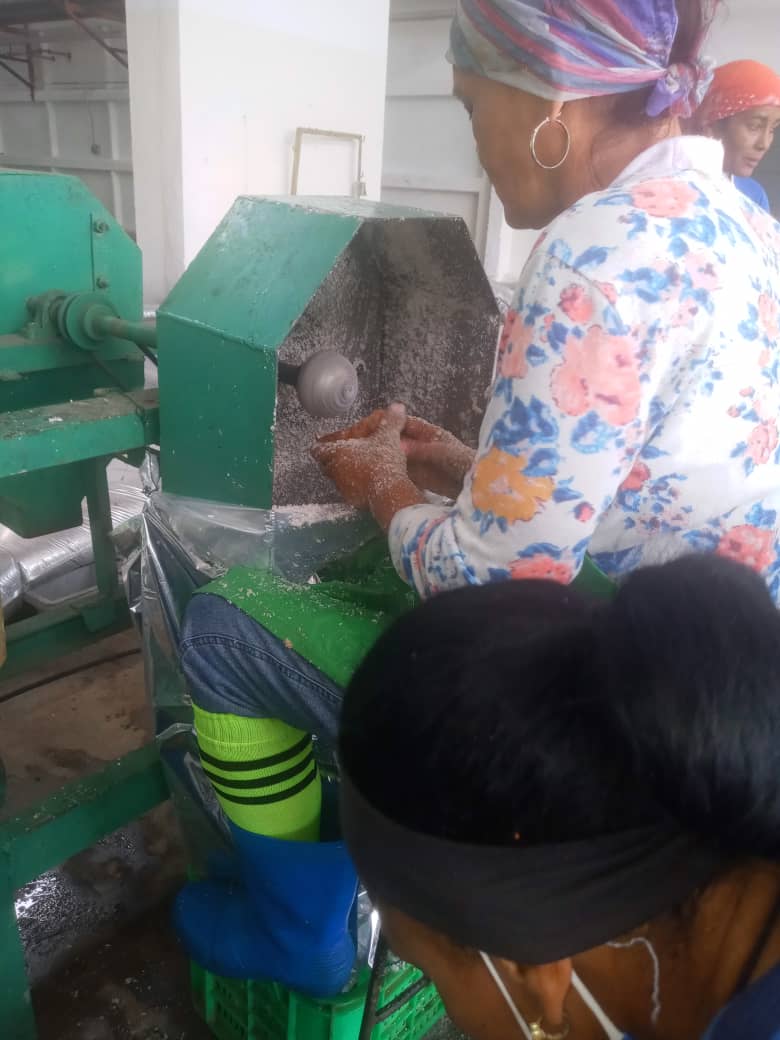 eterreroc's tweet image. Una nueva producción Cocada en la Empresa Agroindustrial
#IslaDeLaJuventud 
#SentirPinero
#PoderPopular