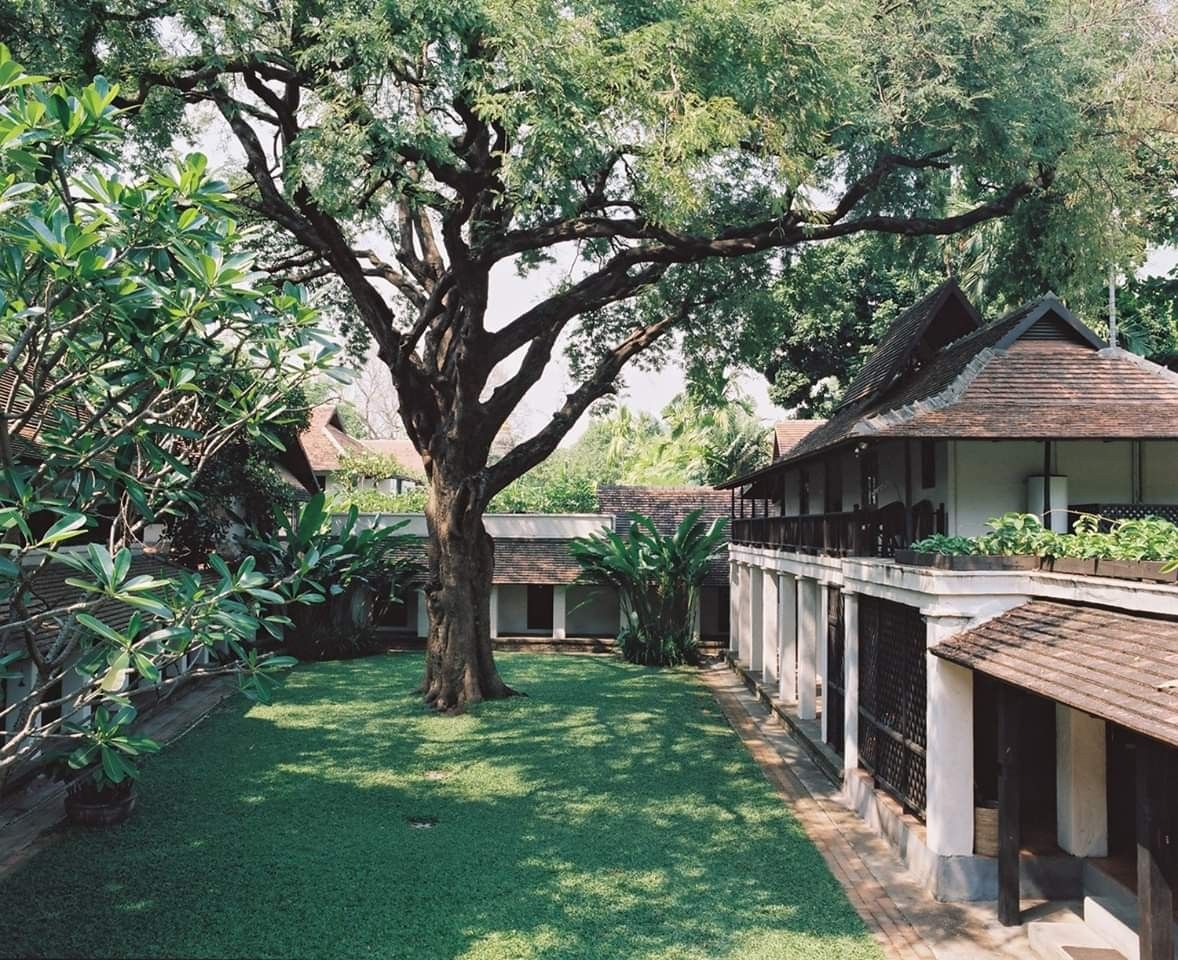 JackChambersGB's tweet image. The Lanna style of Chiang Mai is definitely one of my favorite aesthetics